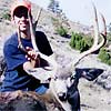 Mule deer, October 2, 2006