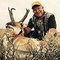 Pronghorn antelope, October 2015