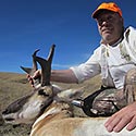 Pronghorn antelope, October 2014