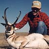 Pronghorn antelope
