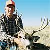 Mule deer, October 8, 2008