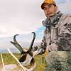 Pronghorn antelope, October 5, 2008