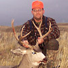 Mule deer, October 10, 2005