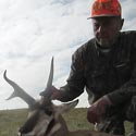 Pronghorn antelope, October 3, 2013