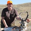 Pronghorn antelope, October 2, 2011