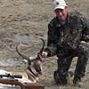 October 7, 2004; pronghorn antelope