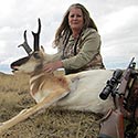 Pronghorn antelope, October 2015