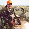 Pronghorn antelope, October 4, 2008